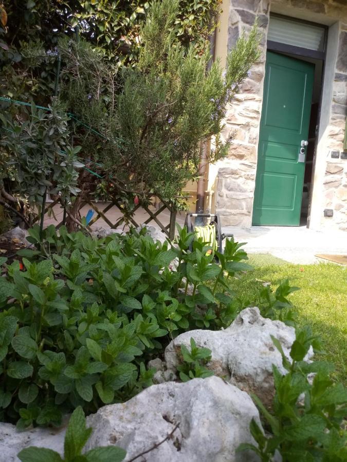 B&B Malpensa Ticino Valley Vizzola Ticino ภายนอก รูปภาพ